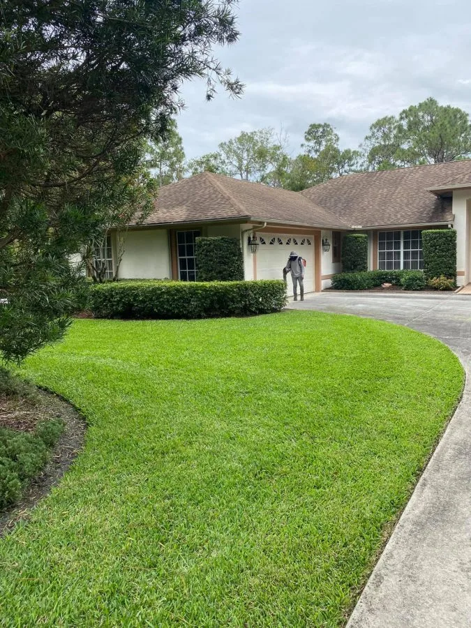 Freshly edged lawn in front of a home